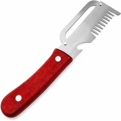 Stainless Steel Multi-Purpose Fish Scaler Knife with Bottle Opener and Wooden Handle — ছবি 2