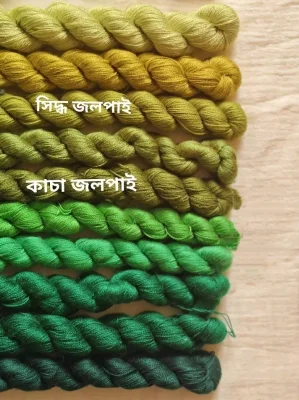 সুন্দরী সুতা — image 6