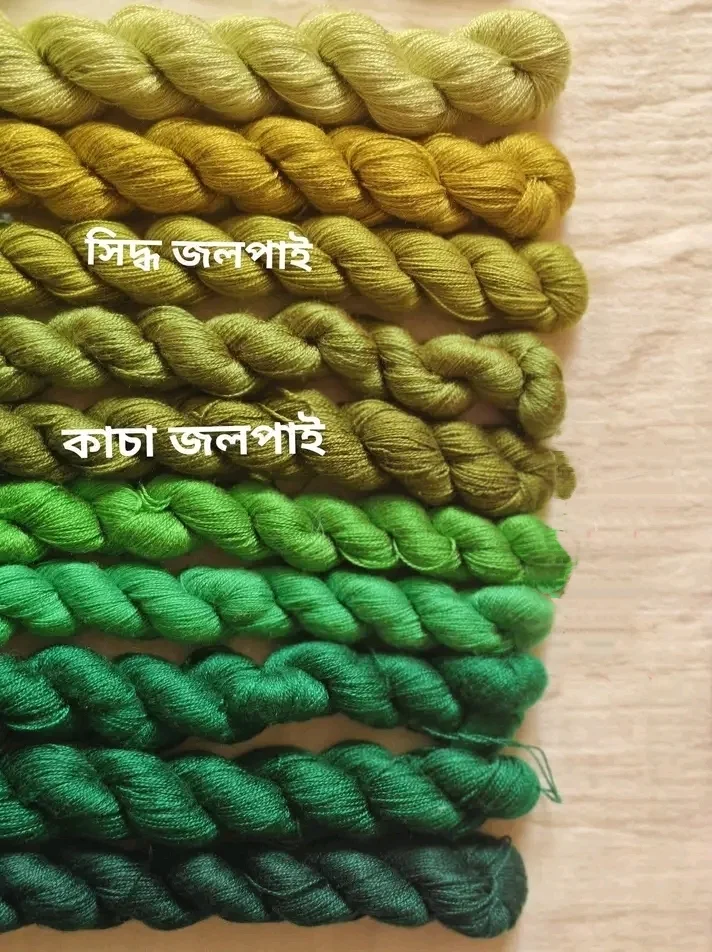 সুন্দরী সুতা — image 6