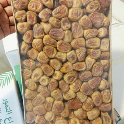 সুক্কারি মুফাত্তাল খেজুর — ছবি 3