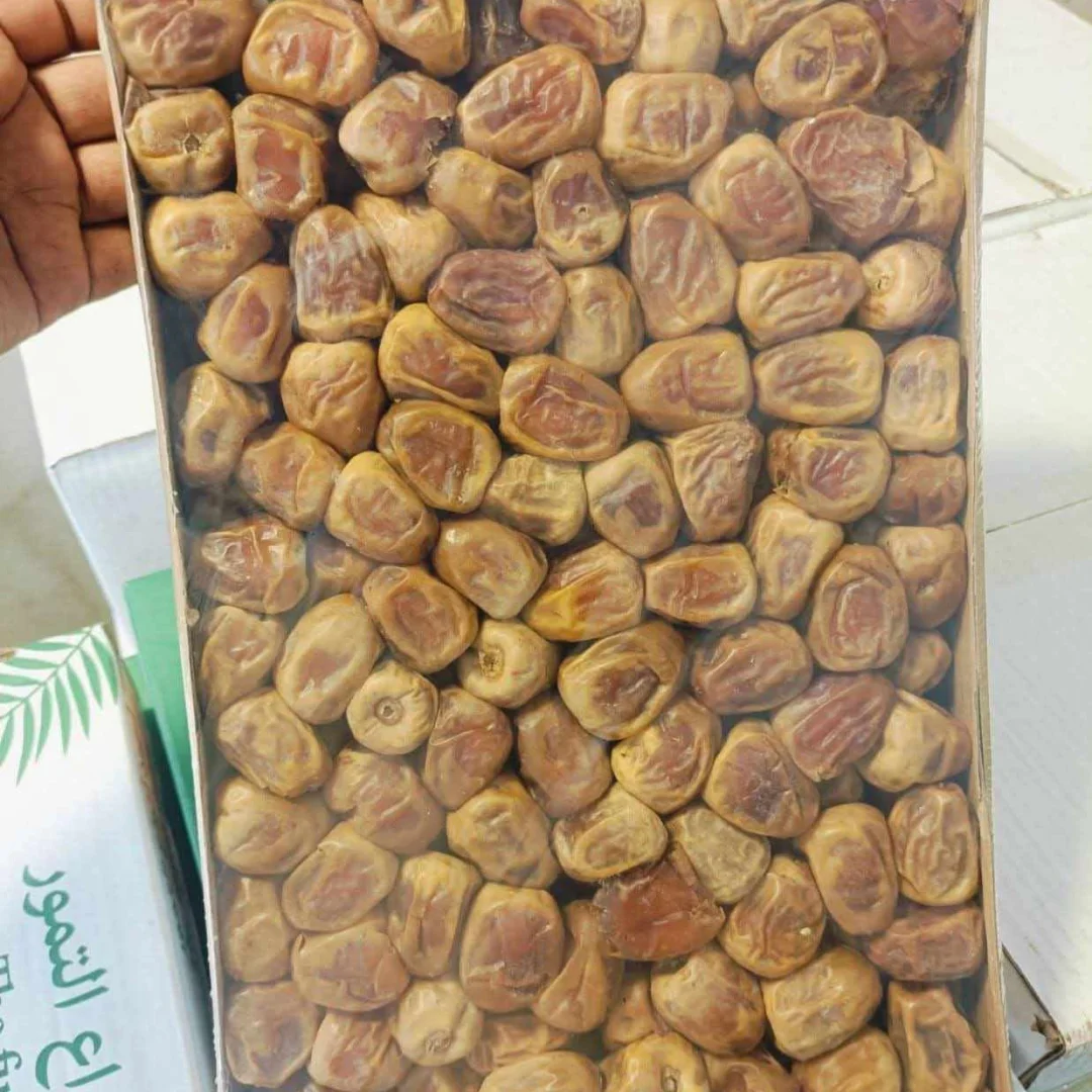 সুক্কারি মুফাত্তাল খেজুর — ছবি 3