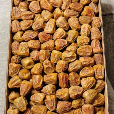 সুক্কারি মুফাত্তাল খেজুর — ছবি 2