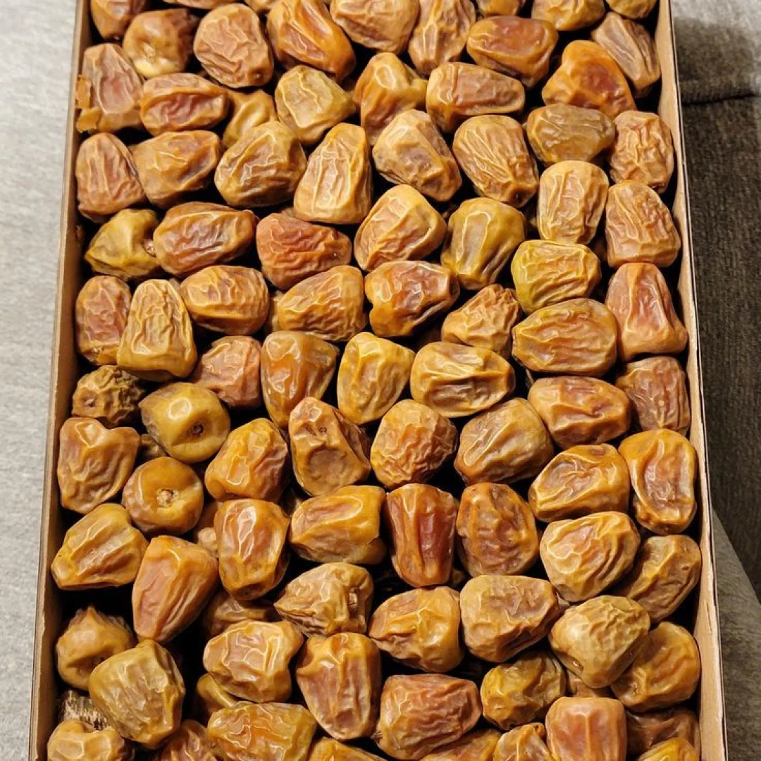 সুক্কারি মুফাত্তাল খেজুর — ছবি 2