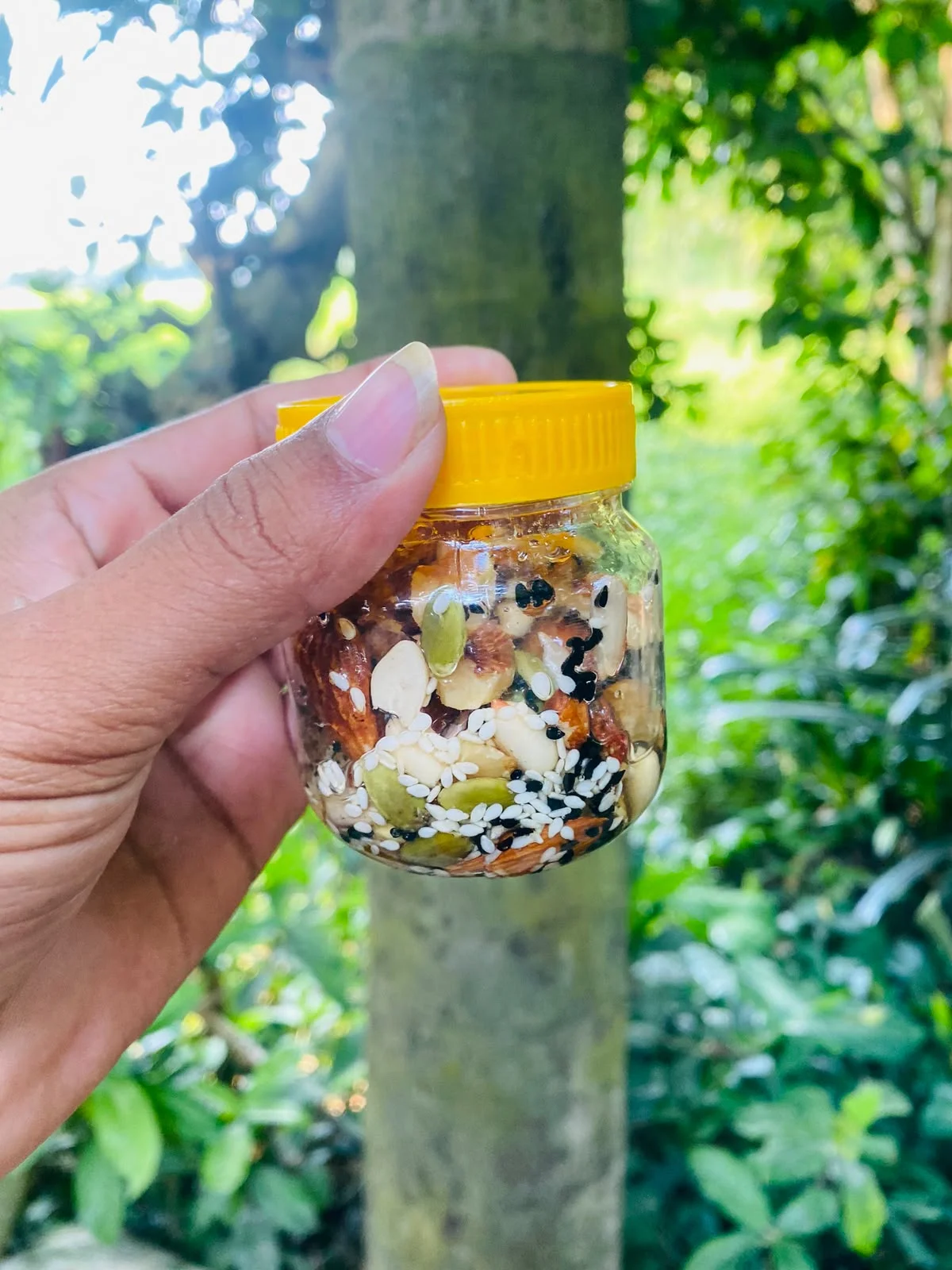 মধুময় বাদাম - হানিনাট — image 2